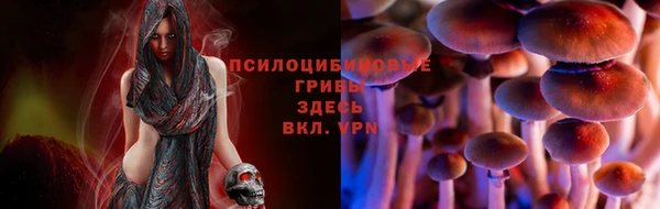 а пвп мука Бородино
