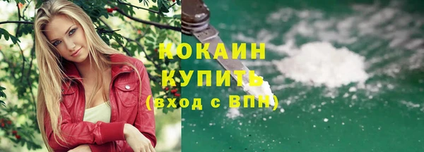 сатива Балахна