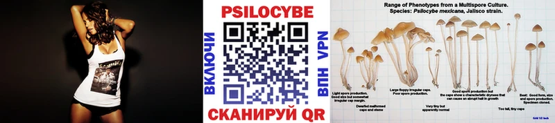 Псилоцибиновые грибы MAGIC MUSHROOMS Торжок