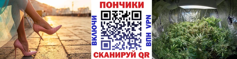 blacksprut вход Торжок Бошки Шишки конопля